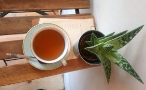 canna 4